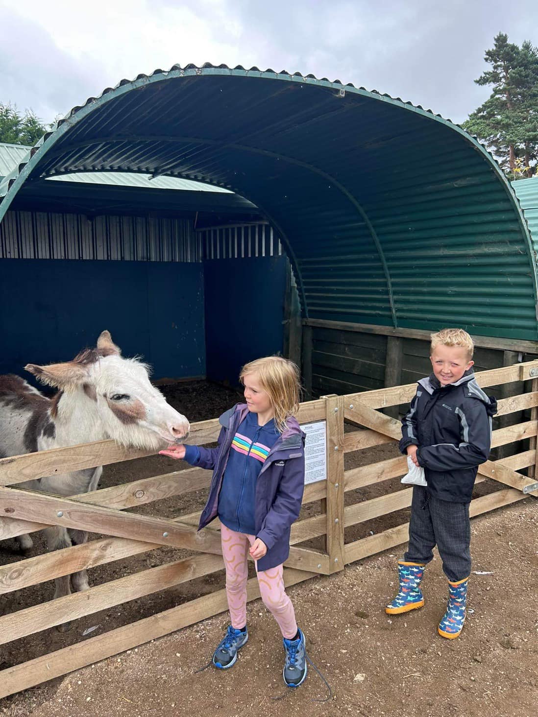 Childrens After School Holiday Program